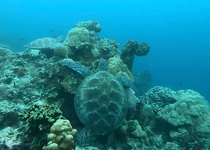 La Concepcion Cove Garden Resort